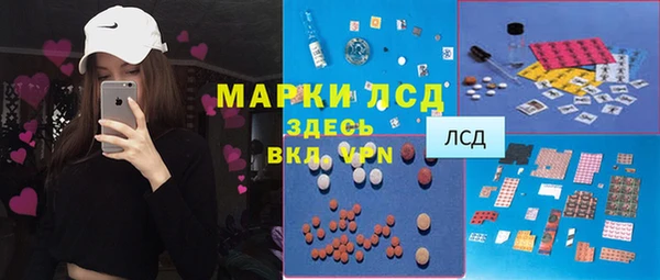ПСИЛОЦИБИНОВЫЕ ГРИБЫ Осташков