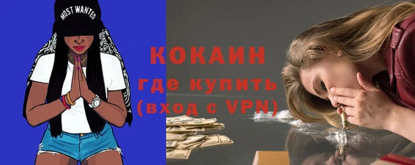 ПСИЛОЦИБИНОВЫЕ ГРИБЫ Осташков