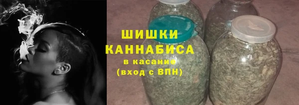 молекула духа Осинники