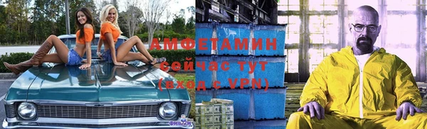 ПСИЛОЦИБИНОВЫЕ ГРИБЫ Осташков