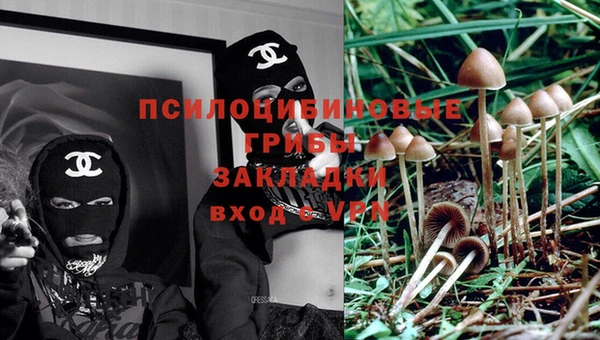 ПСИЛОЦИБИНОВЫЕ ГРИБЫ Осташков