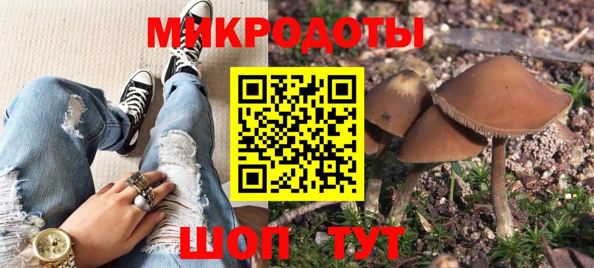 APVP Казань