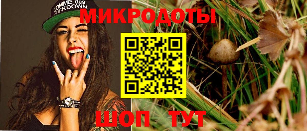 Казань  Псилоцибиновые грибы MAGIC MUSHROOMS  Вход с VPN 